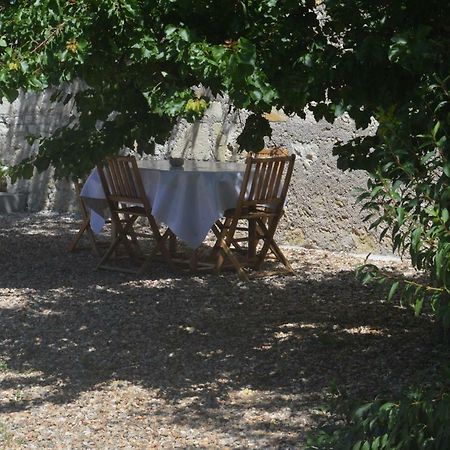 Gite Dans Le Vignoble De Bourgueil Le Port Boulet Екстер'єр фото