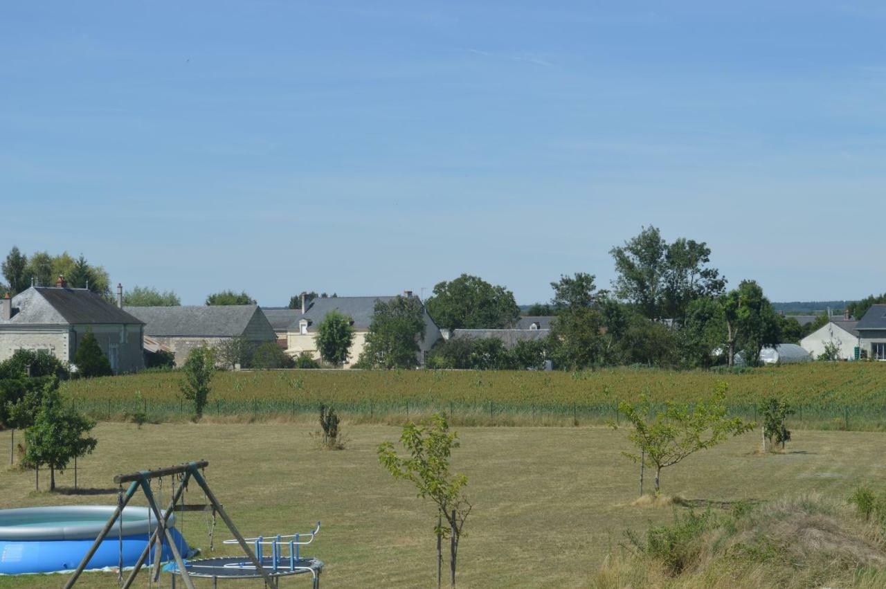 Gite Dans Le Vignoble De Bourgueil Le Port Boulet Екстер'єр фото
