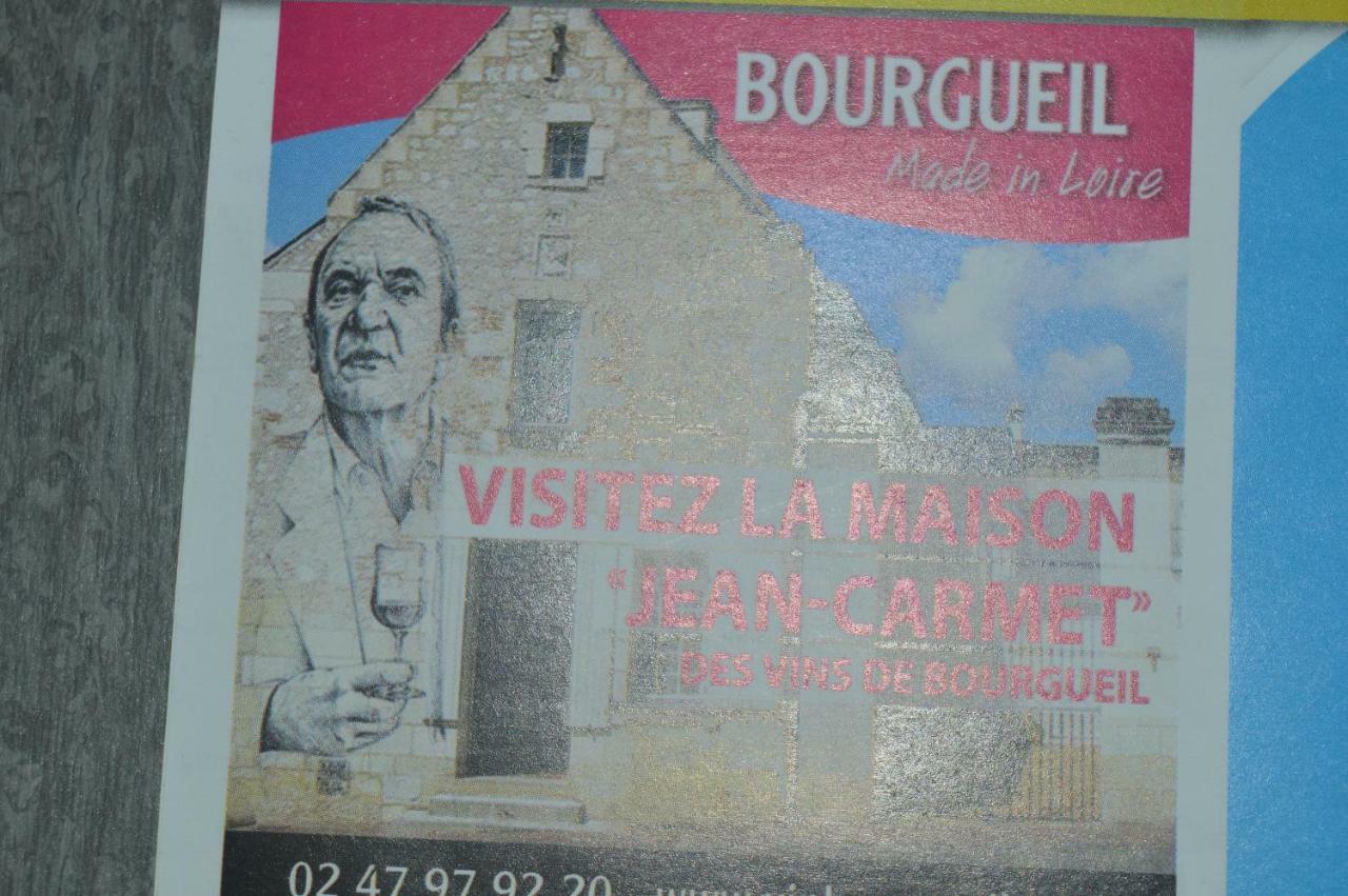Gite Dans Le Vignoble De Bourgueil Le Port Boulet Екстер'єр фото