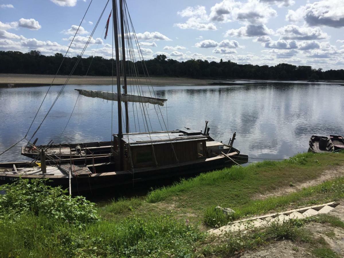 Gite Dans Le Vignoble De Bourgueil Le Port Boulet Екстер'єр фото