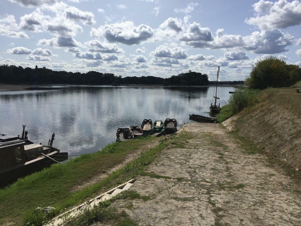 Gite Dans Le Vignoble De Bourgueil Le Port Boulet Екстер'єр фото