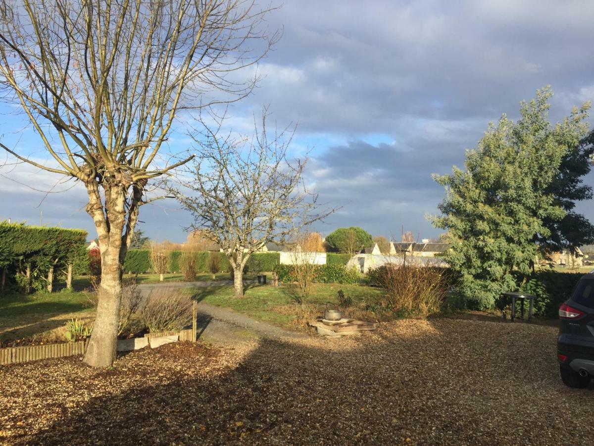 Gite Dans Le Vignoble De Bourgueil Le Port Boulet Екстер'єр фото